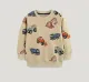 SC Kids Boy's Fashion Car Print Long Sleeve Sweatshirt GASD-8253