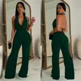 SC Sleeveless Backless Tops And Pants 2 Piece Set BY-7085