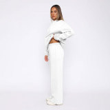 SC Solid Long Sleeve Hooded Sweatshirt Pants 2 Piece Set SSNF-211467