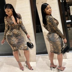 SC Animal Print Long Sleeve Skirts Two-piece Set LSL-LS6521