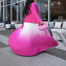 SC Pleated Irregular Gradient Long Skirts Suit GMLF-D3297
