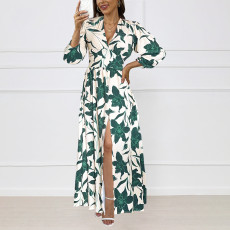 SC Fashion Print Long Sleeve V Neck Maxi Dress GYLY-10559