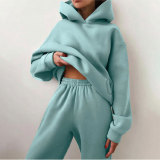 SC Long Sleeve Solid Hooded Two Piece Pants Set GRST-21660