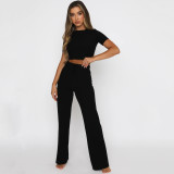 SC Solid Color Short Sleeve Wide Leg Pant Suit YMZY-0391