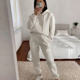 SC Casual Hooded Long Sleeve Sweatshirt Solid Color Sports Set YMZY-6502
