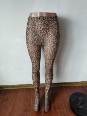SC Pre Order: About 7 work days shipping Leopard Print Yoga Pants Sport Bottoms YUEM-500600