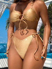 SC Sexy Tie Up Backless Bikinis Two Piece Swimsuit CASF-6656
