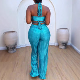 SC Plus Size Pleated Halter Backless Hollow Out 2 Piece Set NY-3330