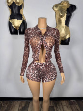 SC Pre Order: About 7 work days shipping Fashion Leopard Print Skinny Short Suit YUEM-600602