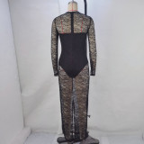 SC Lace Patchwork See Through Bodycon Dress GPBY-15142