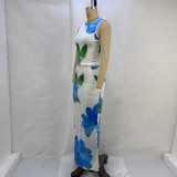 SC Fashion Print Sleeveless Two Piece Skirts Set GPBY-14532