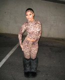 SC Leopard Print Long Sleeve Pants Two Piece Set YWXS-XS-XSL45002