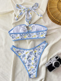 SC Print Halterneck Backless Two Piece Swimsuit CSYZ-G113WY