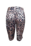 SC Sexy Leopard Print Five-pointed Pants GFCF-1323