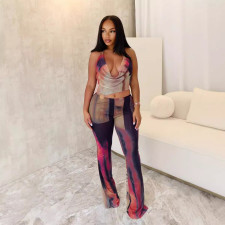 SC Sexy Backless Print Mesh Jumpsuit GTYZ-7447