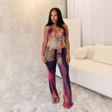 SC Sexy Backless Print Mesh Jumpsuit GTYZ-7447
