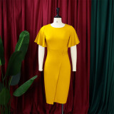 SC Plus Size Flare Sleeve Solid Color Midi Dress GCZF-8423