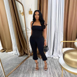 SC Sexy Halterneck Backless Two Piece Pants Set DDF-88237