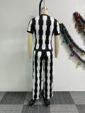 SC Plus Size Wide Leg Print Two Piece Pants Set NY-11007
