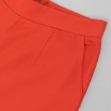 SC Plus Size Solid Color Long Blazer Pants Suit NY-10968