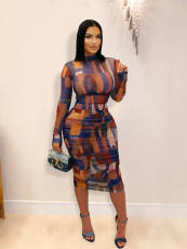 SC Long Sleeve Print Mesh Pleated Maxi Dress YD-062
