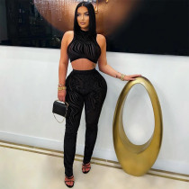 SC Sexy Sleeveless Print Tops Pencil Pants Suit CYA-901814