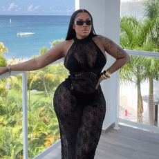 SC Hollow Out See-through Backless Long Dress MXBF-J25DS024