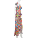 SC Colorful Print Halterneck Split Maxi Dress FL-XY25038PFO