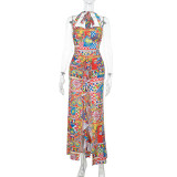 SC Colorful Print Halterneck Split Maxi Dress FL-XY25038PFO
