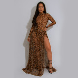 SC Leopard Print Long Sleeve Split Maxi Dress BY-7308