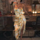 SC Plus Size Print Sexy Sling Midi Dress GMAN-21033