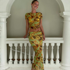 SC Fashion Print Mesh T Shirt And Long Skirts 2 Piece Set GLAG-S3914331G