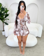 SC Print Ruffles Tie Up Mesh Mini Dress GDYF-6810