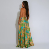 SC V Neck Print Backless Satin Maxi Dress YF-20163