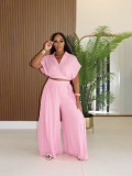 SC Solid Lapel Crop Top And Wide Leg Pants 2 Piece Set SFY-716