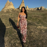 SC Deep V Neck Print Backless Maxi Dress FL-WQ25135MHO