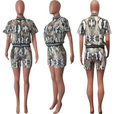 SC Snake Print Threaded Cardigan + Shorts Set HMS-5589