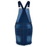 SC Plus Size Fashion Denim Strap Dress GDAM-218639