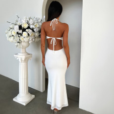 SC Sexy Halterneck Solid Color Maxi Dress GWSD-1992874