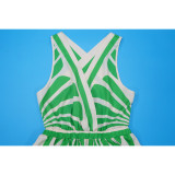 SC Sleeveless Deep V Neck Print Maxi Dress YF-20167