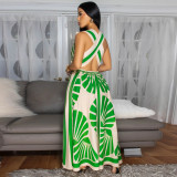 SC Sleeveless Deep V Neck Print Maxi Dress YF-20167