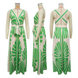 SC Sleeveless Deep V Neck Print Maxi Dress YF-20167