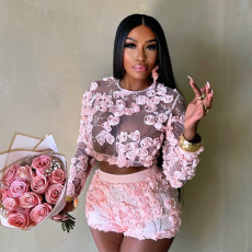 SC Embroidered Mesh O Neck Long Sleeve Top Shorts Set CYA-901737