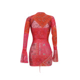 SC Mesh Deep V Neck Bodycon Dress FENF-091