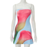 SC Floral Printed Backless Tube Tops Mini Dress GDSF-D25DS219