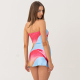 SC Floral Printed Backless Tube Tops Mini Dress GDSF-D25DS219