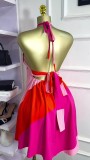 SC Color Block Sleeveless Backless Mini Dress GXIN-S-8846