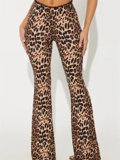 SC Leopard Print Lace Patchwork Pant GXIY-XS-L45383