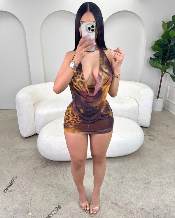 SC Leopard Print V Neck Mesh Two Piece Skirts Set SHD-9537