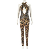 SC Mesh Patchwork Leopard Print Jumpsuit GBTF-11242JHR